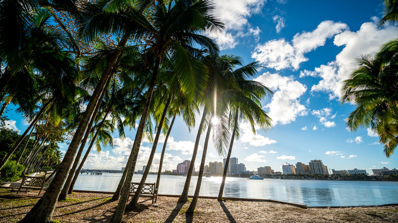 Waterfront park in Palm Beach, Florida