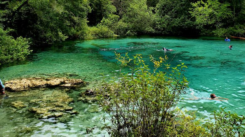 swimmers and snorkelers at Ichetucknee Springs