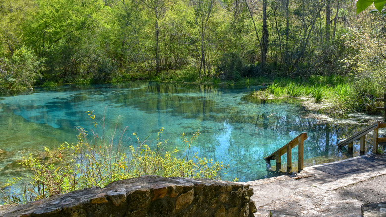 Located in Florida, Ichetucknee Springs State Park is a popular place for tubing, kayaking and other water sports.