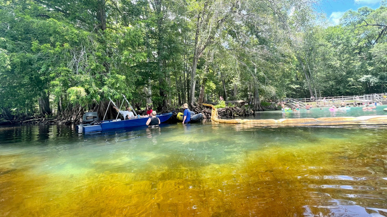 Swimmers enjoy Rum Island Spring Park