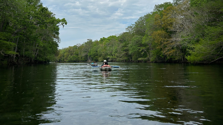 A kayaker on the Santa Fe River in Florida