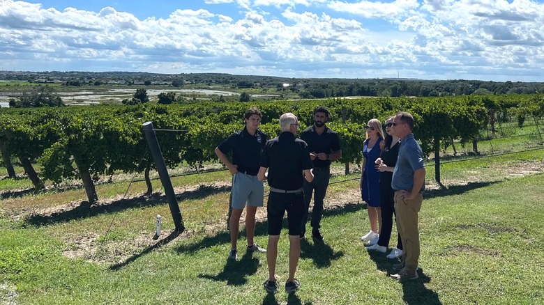 A winery tour at Lakeridge Winery & Vineyards