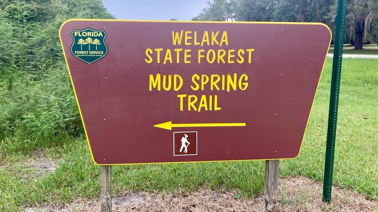 Sign that says Welaka State Forest Mud Spring Trail