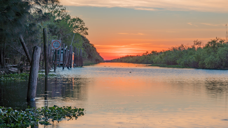 Sunset over St Johns River with trees either side of the flat water.