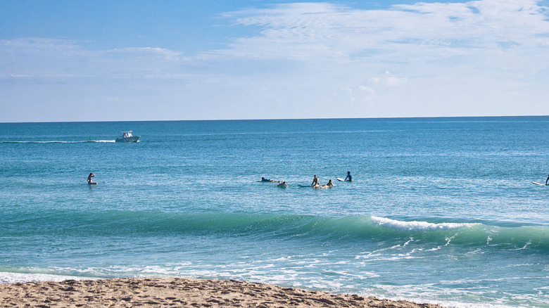 Surfers in the ocean off Sebastian Inlet State Park