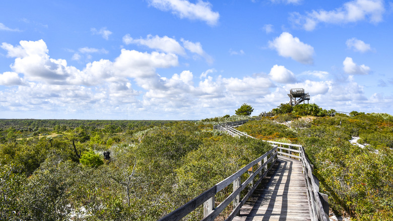 Florida's Lovely State Park On The Loxahatchee River Is An Outdoor Hub For Hiking, Kayaking, And Camping