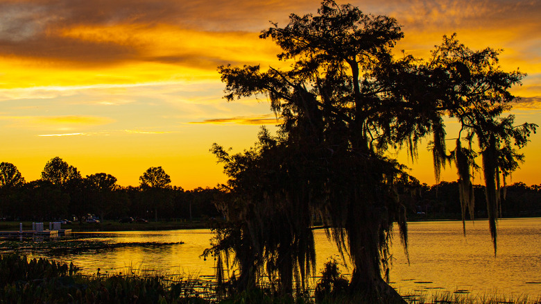 Sunset on Lake Harris in Leesburg, Florida