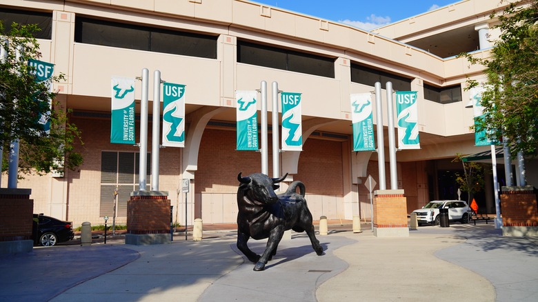 USF Campus with a bull statue in Temple Terrace