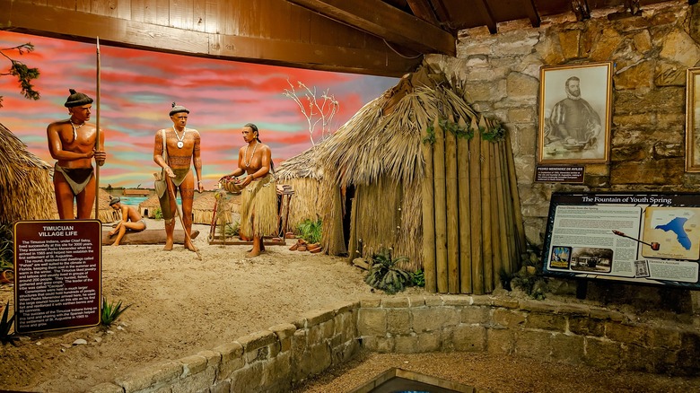An indoor exhibit depicting the indigenous Timucuan people at Ponce de Leon's Fountain of Youth Archaeological Park.