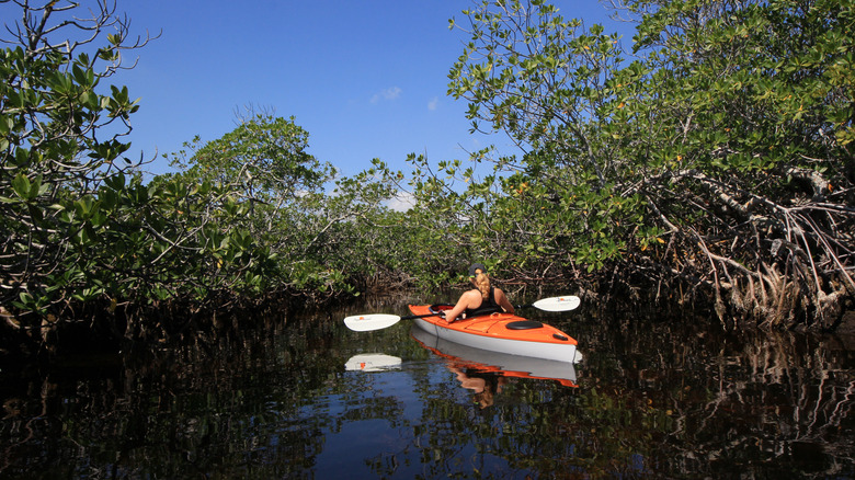 A woman kayaking in Biscayne National Park, FL