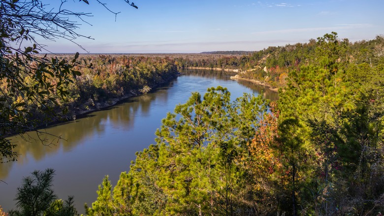 Apalachicola River winding past Florida forest