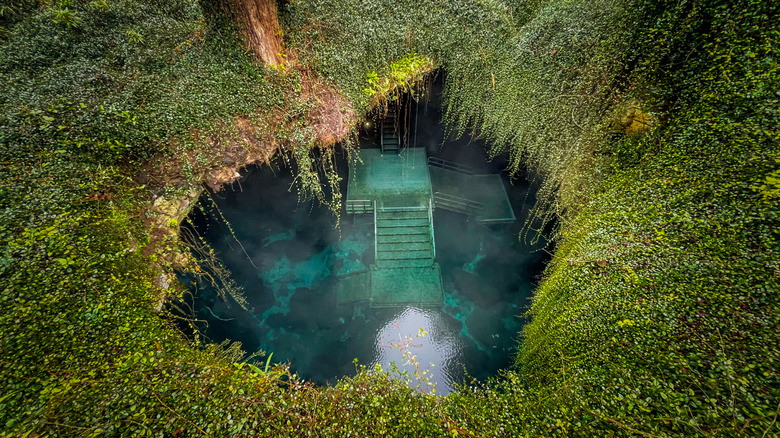 Aerial view of the Devil's Den grotto in Williston, Florida
