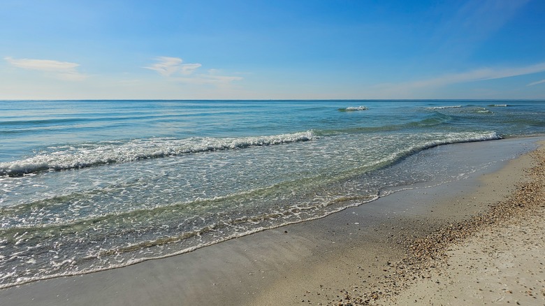 A view of the beach at St. Andrews State Park