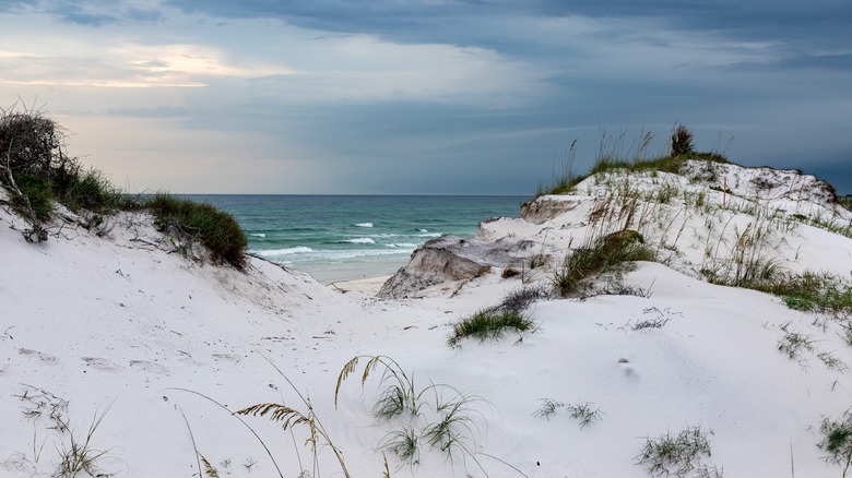 A view of sand dunes at St. Andrews State Park