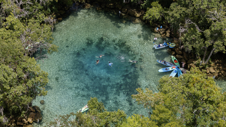 Aerial view of the Three Sisters Springs with people and boats