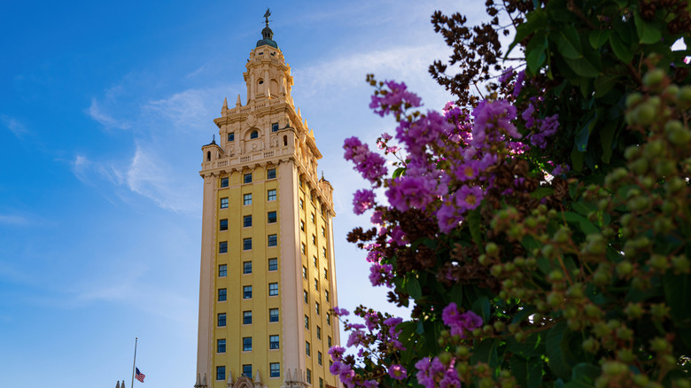 Freedom Tower with purple flowers on the right