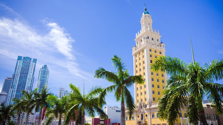 The Freedom Tower surrounded by palm trees