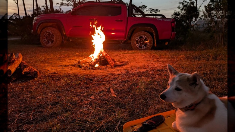 A dog lays in front of a campfire with a truck in the background at Webb Lake Campground near Babcock Ranch Preserve, Florida
