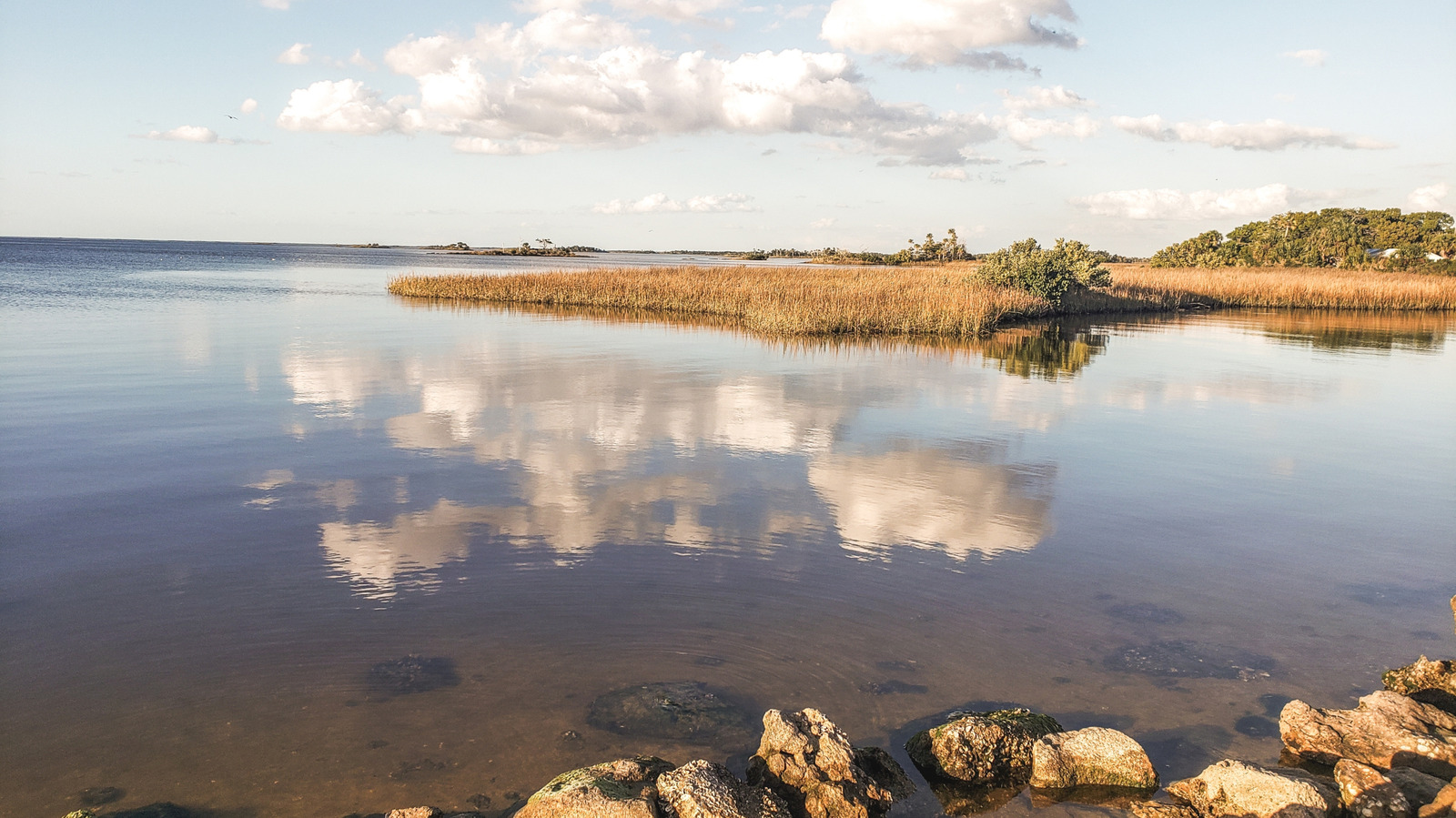 Florida's Peaceful Beach Park Between Gainesville And Tampa Offers Ocean Views, Fishing, And Relaxation