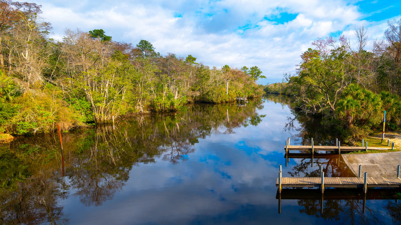 St Marks River near Crawfordville, Florida
