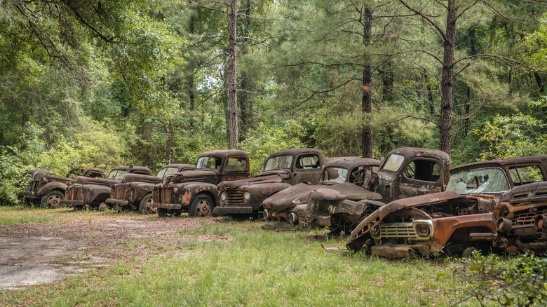 Old trucks of Crawfordville, Florida, in the green forest