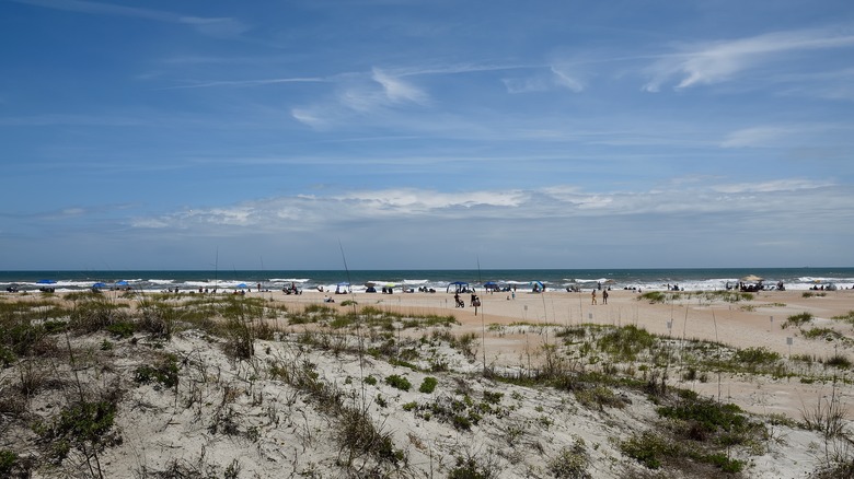 Anastasia State Park, Florida