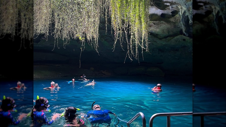 Snokelers in Devil's Den Florida