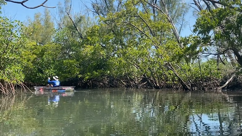 Kayaker on the paddle trail at St. Lucie Inlet State Park