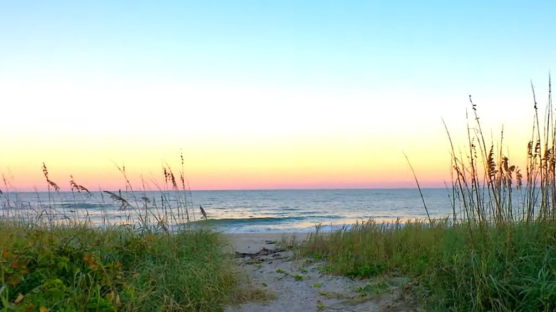 Sandy path leading to the beach at St. Lucie Inlet Preserve State Park in Florida