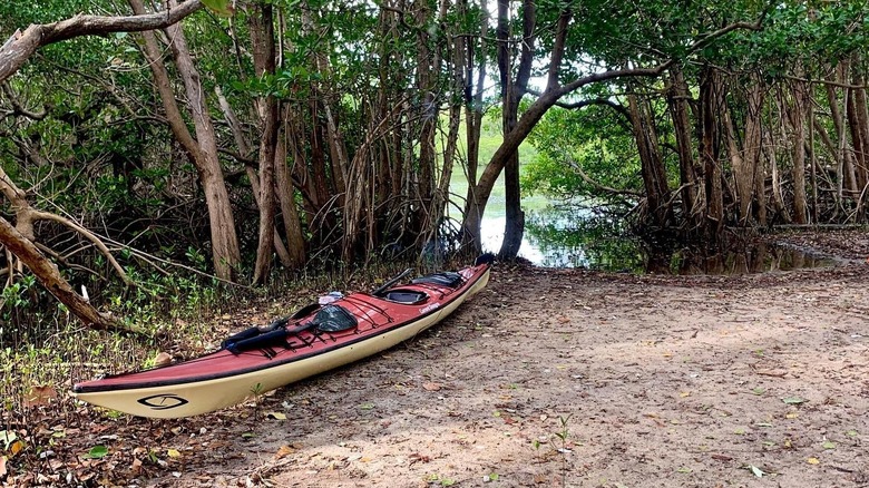 kayak on shore at St. Lucie Inlet Park near Stuart, Florida