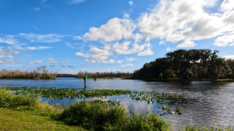 Hontoon Island state park on the St Johns River near to Deland, Florida