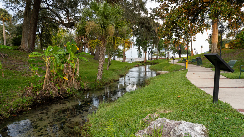 The natural spring water in Green Cove Springs flowing into the St. Johns River via Spring Park