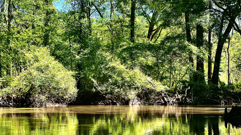 Choctawhatchee River