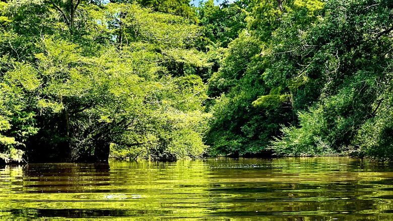 Choctawhatchee River