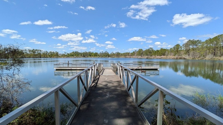 Fishing pier surrounded by water and greenery in Seminole State Forest, Florida