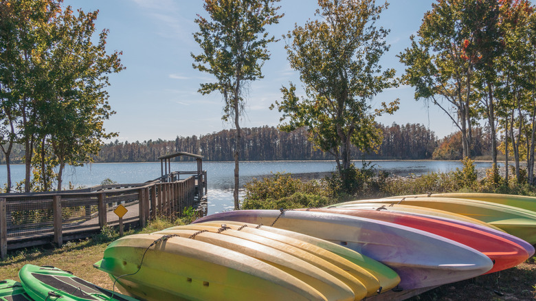 A row of colorful kayaks in front of a wooden dock at Lake Louisa State Park near Orlando, Florida.