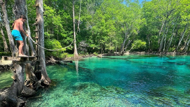 Man on a rope swing platform at Cypress Springs, Florida