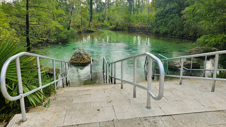Stairs entering the turquoise water of Econfina Creek