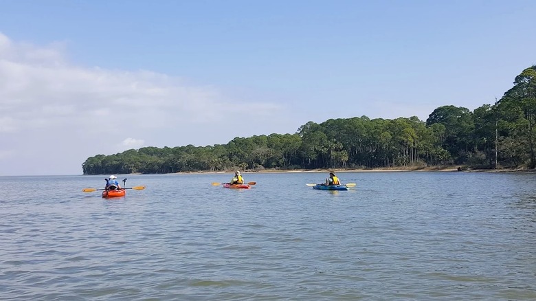 Three kayakers paddling along a scenic bay at St. Vincent National Wildlife Refuge in Florida, with views of a lush shoreline.