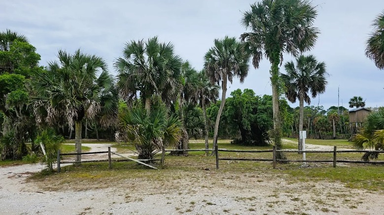 An entrance to a hiking path at St. Vincent National Wildlife Refuge in Florida, surrounded by wooden fencing and subtropical trees.