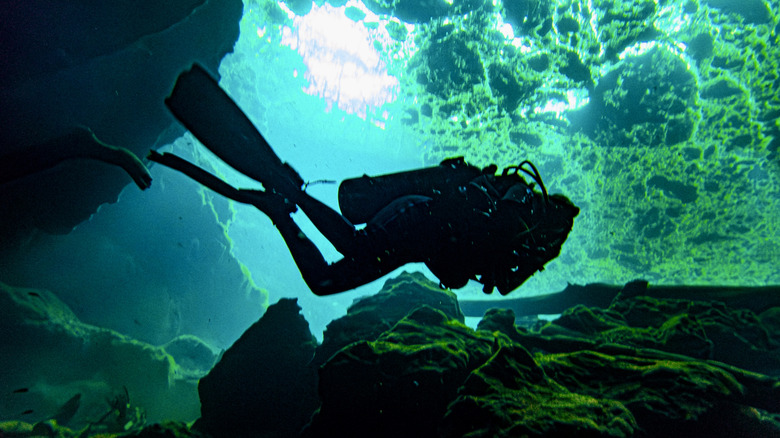Silhouette of a scuba diver swimming in clear water