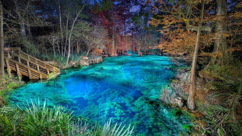 Pristine water pond at Peacock Springs, Florida