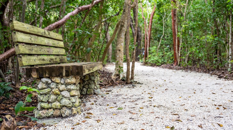 A park bench at Windley Key State Fossil Reef Geological State Park, Florida