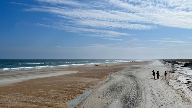 People on the beach at Little Talbot Island State Park, Florida