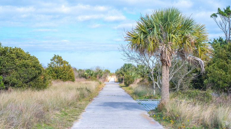 Paved path for bikers and hikers at Little Talbot Island State Park, Florida