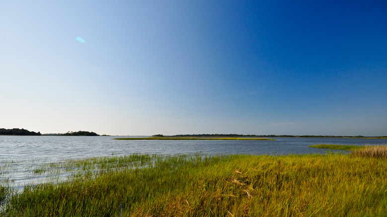 A body of water in Lower Suwannee National Wildlife Refuge