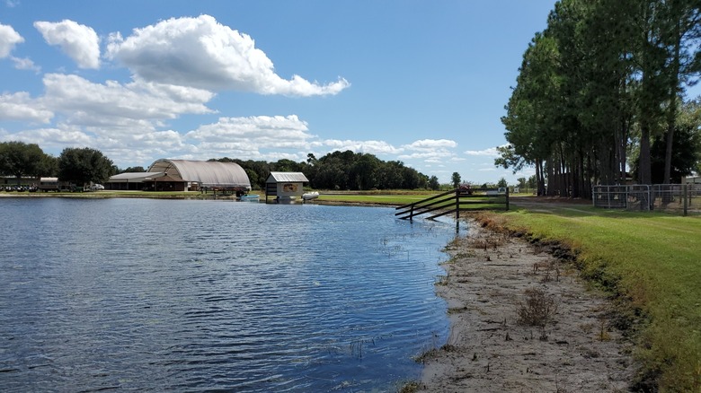 Pond at Stanley Pond Adventure Farm in Astatula, Florida