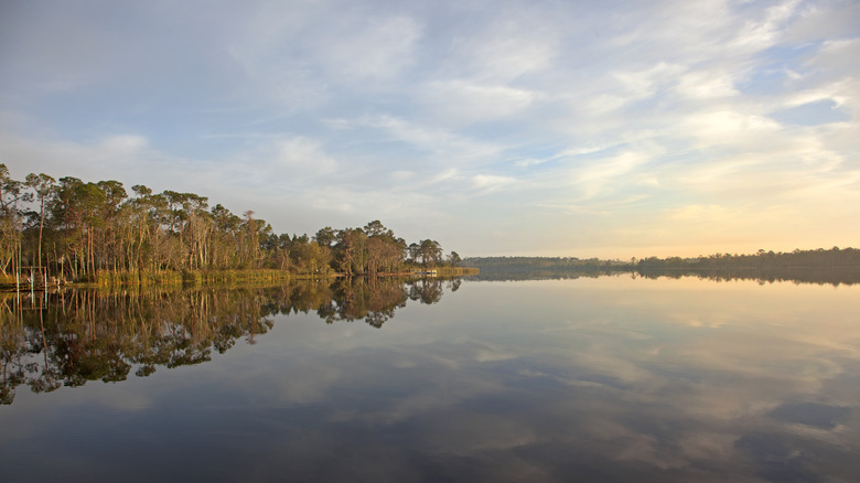 Lake scene from Davenport Florida