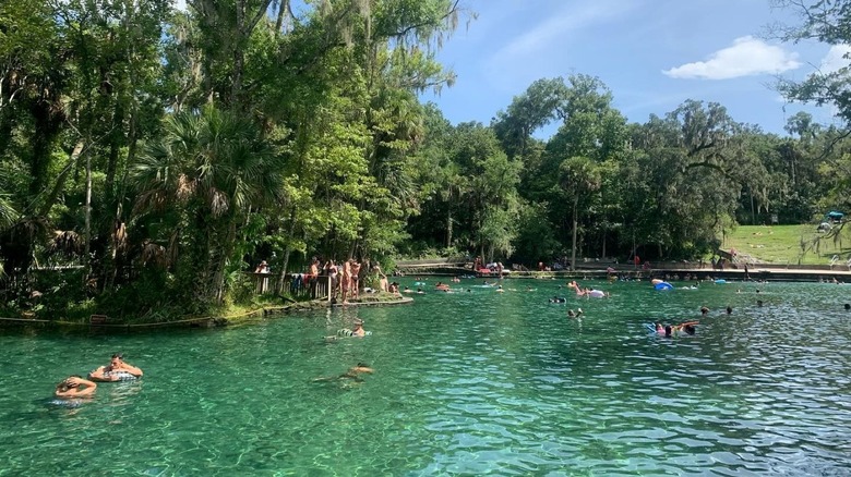 people swimming at Wekiwa Springs State Park
