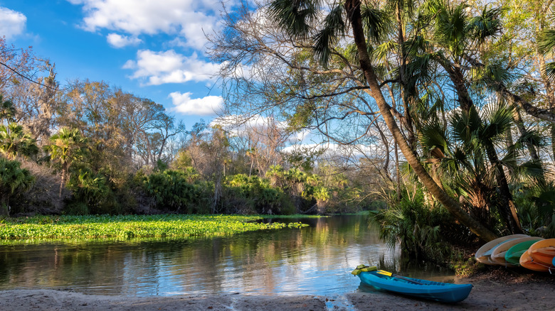 canoes on shore by Wekiva River